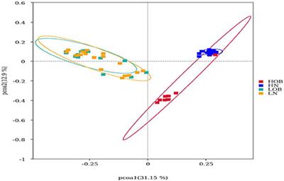 Analysis of the gut microbiome in obese native Tibetan children living at different altitudes: A case–control study